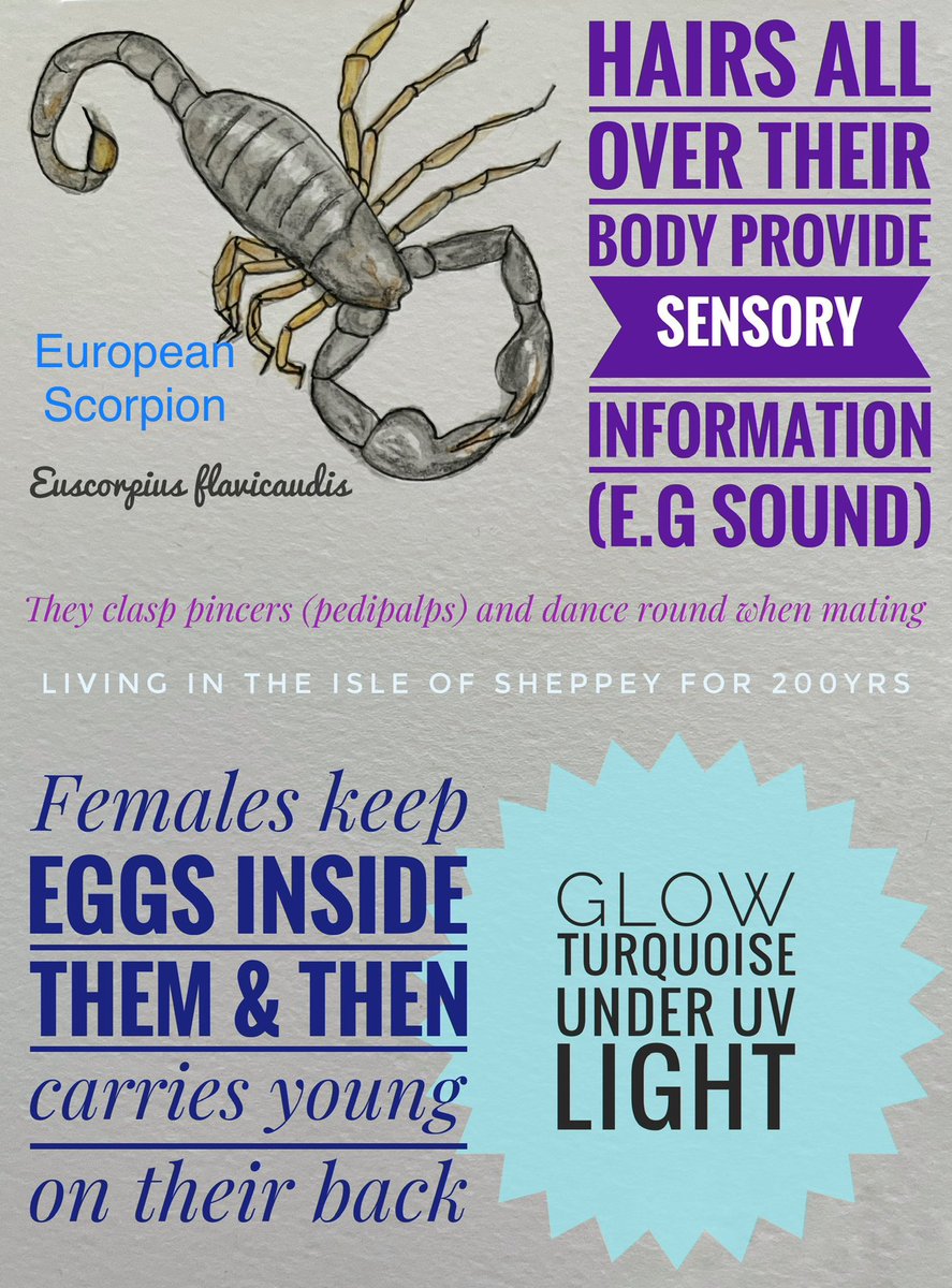 Unfortunately I have covid - for the first time (&amp; caught off our preschooler!). So I’ve luckily had some time, in-between shivering &amp; headaches, to catch up with the many bookings for science week. So email quickly! 

And here’s some bug facts about some local bugs!