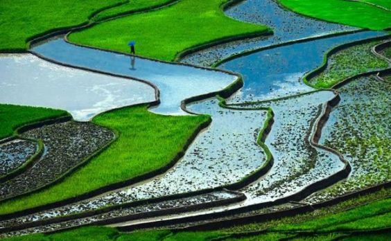 rayany aline tweet media