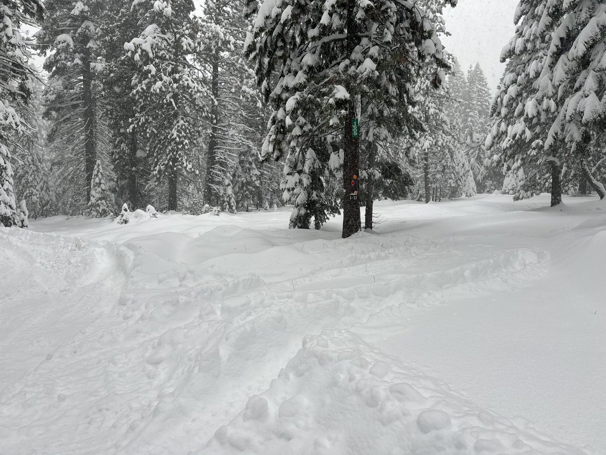 Daze💎 tweet media