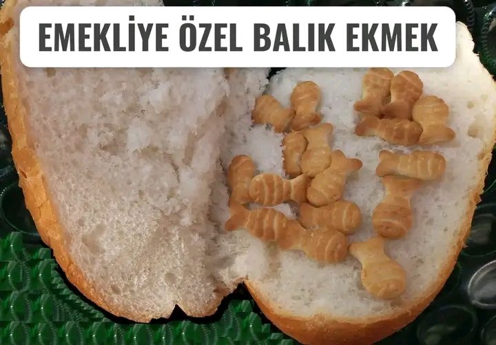 #HesapGünü31Mart
YAZIKLAR OLSUN Yüzde 5
Kamuda 10 bin Şaka Reisim
Mehmet Şimşek Bağkur