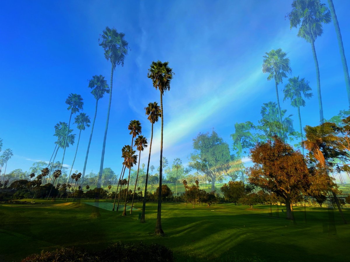 davesnft.eth 💊 tweet media