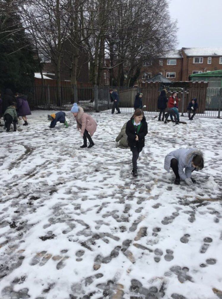 BVPS Year 4 Class Page tweet media