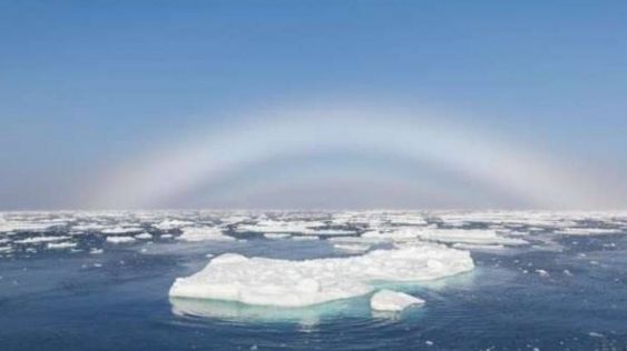 eduardo ramirez tweet media