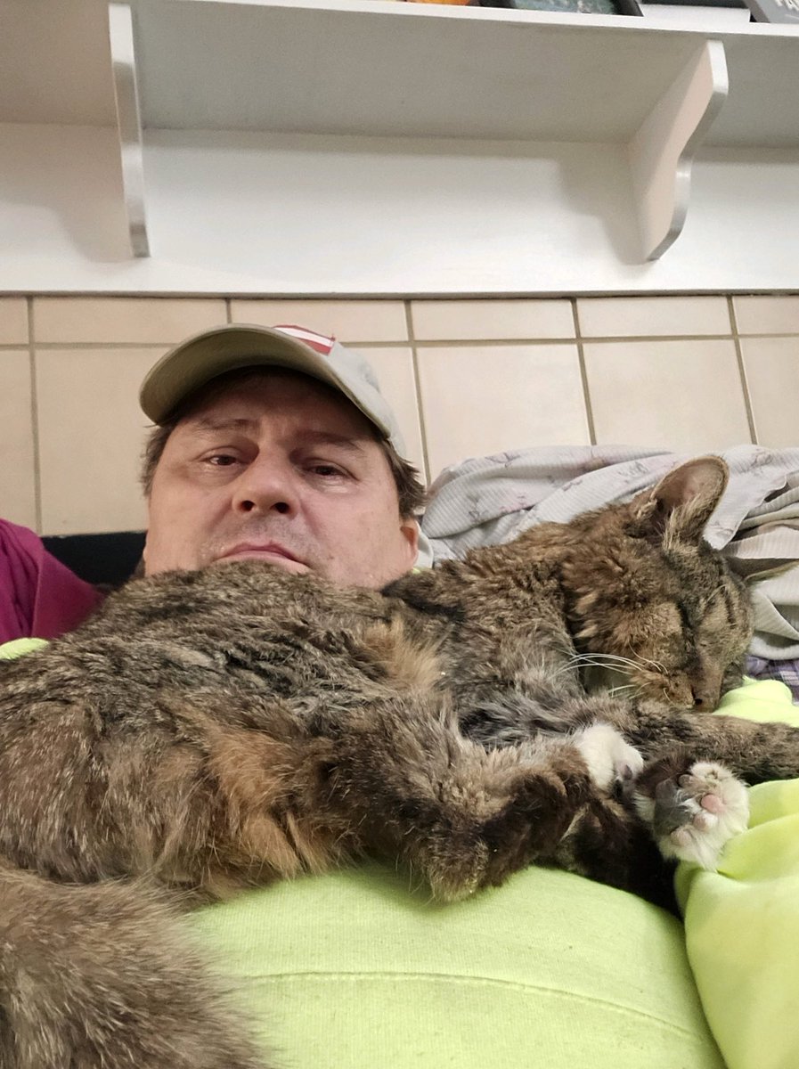 JANE 🐾🦋❤️💫 🪐🌎 tweet media