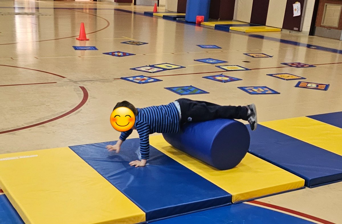 CrpsPhysEd's tweet photo. Our super strong preschoolers are swinging in on the action!! @ConoverPrimary @jennifertym https://t.co/E6PutAnM1F