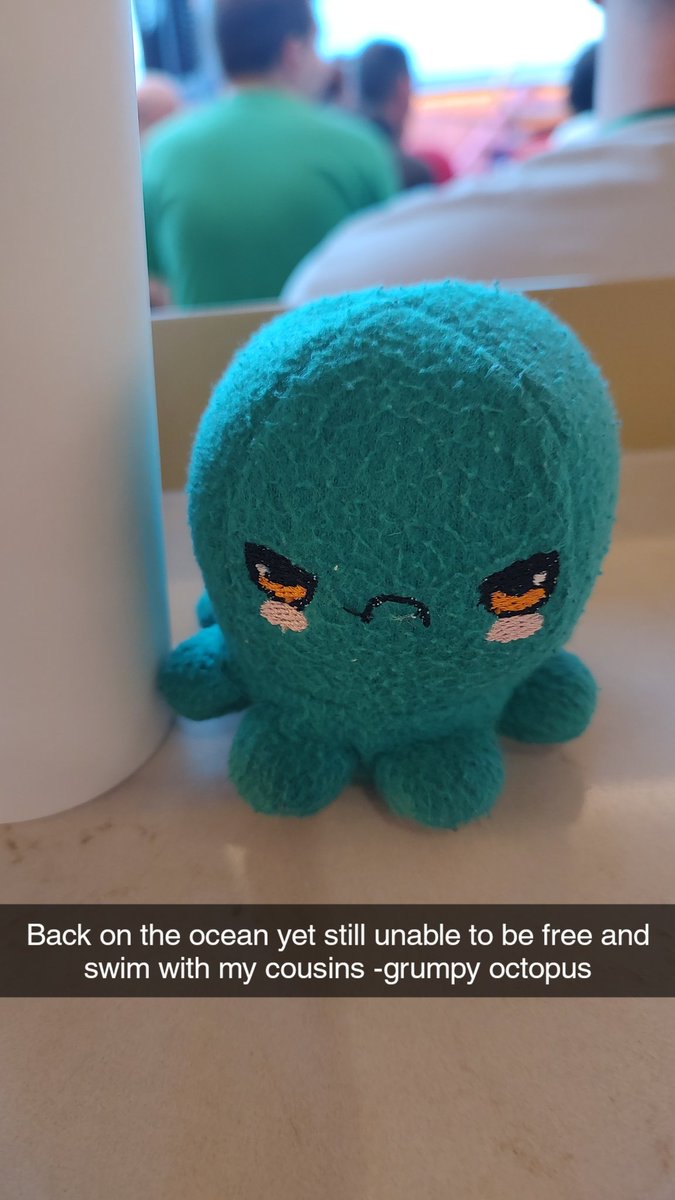 cpdadkins's tweet photo. On a cruise again. This time not for writing. This is just a relaxation cruise for me. Here is a grumpy octopus pic for fun. https://t.co/EXWJ9zQswE