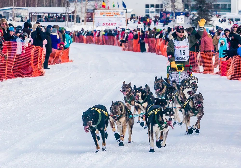 Any other creators/youtubers going to be in Anchorage for the Iditarod start? Or want to be?

I’m flying in and have an AirBnB near downtown with a spare room. Content creators let me know. 

#Alaska #Iditarod2024 #Iditarod