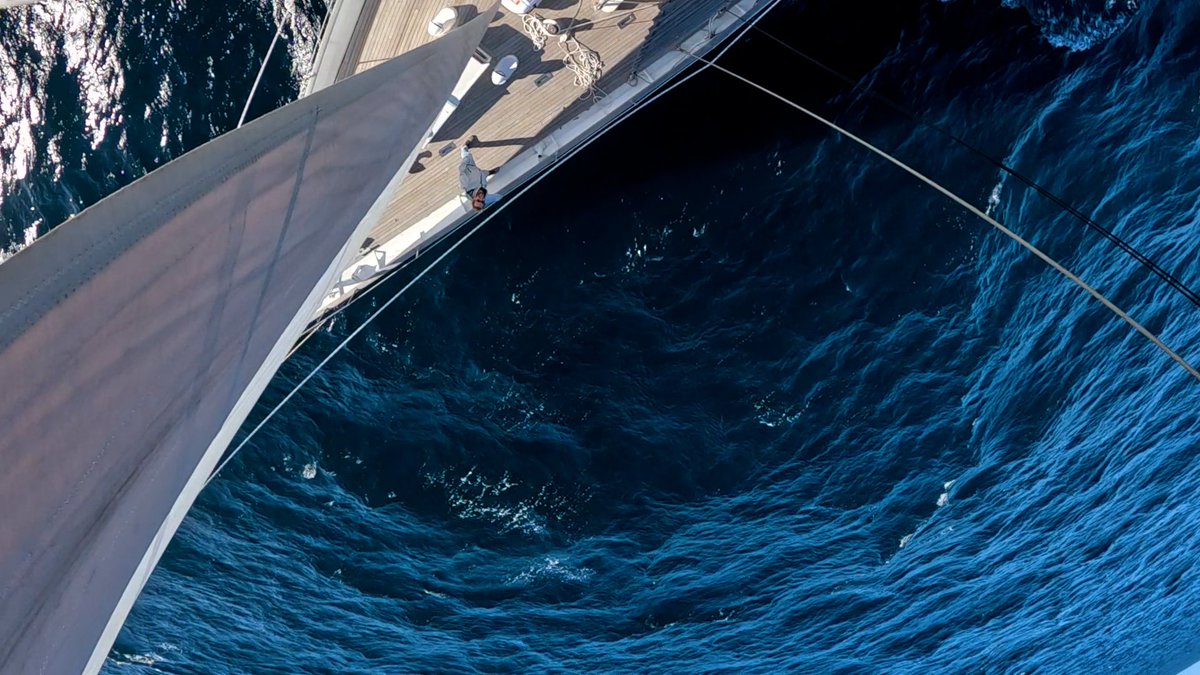 SeaShepherdSSCS's tweet image. 2024 begins. The RV Martin Sheen has set sail!
She is headed, with a salty skeleton crew, to the ZTA. 
Once she rounds the corner to the Upper Gulf from the Pacific, she will help the Seahorse in the Milagro X campaign.

Sign up of our newsletter at: seashepherd.org