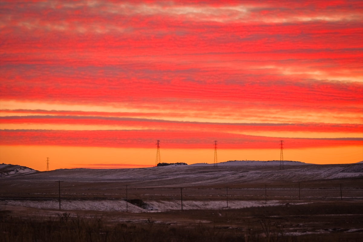 Pusholder tweet media