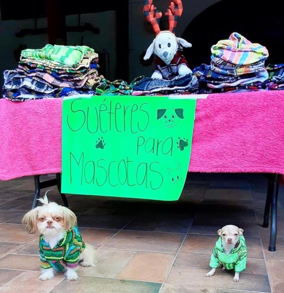 DiloConPerritos's tweet photo. Cuando tienes que ir a trabajar con frío y desvelado. https://t.co/iGXo9dlR1r