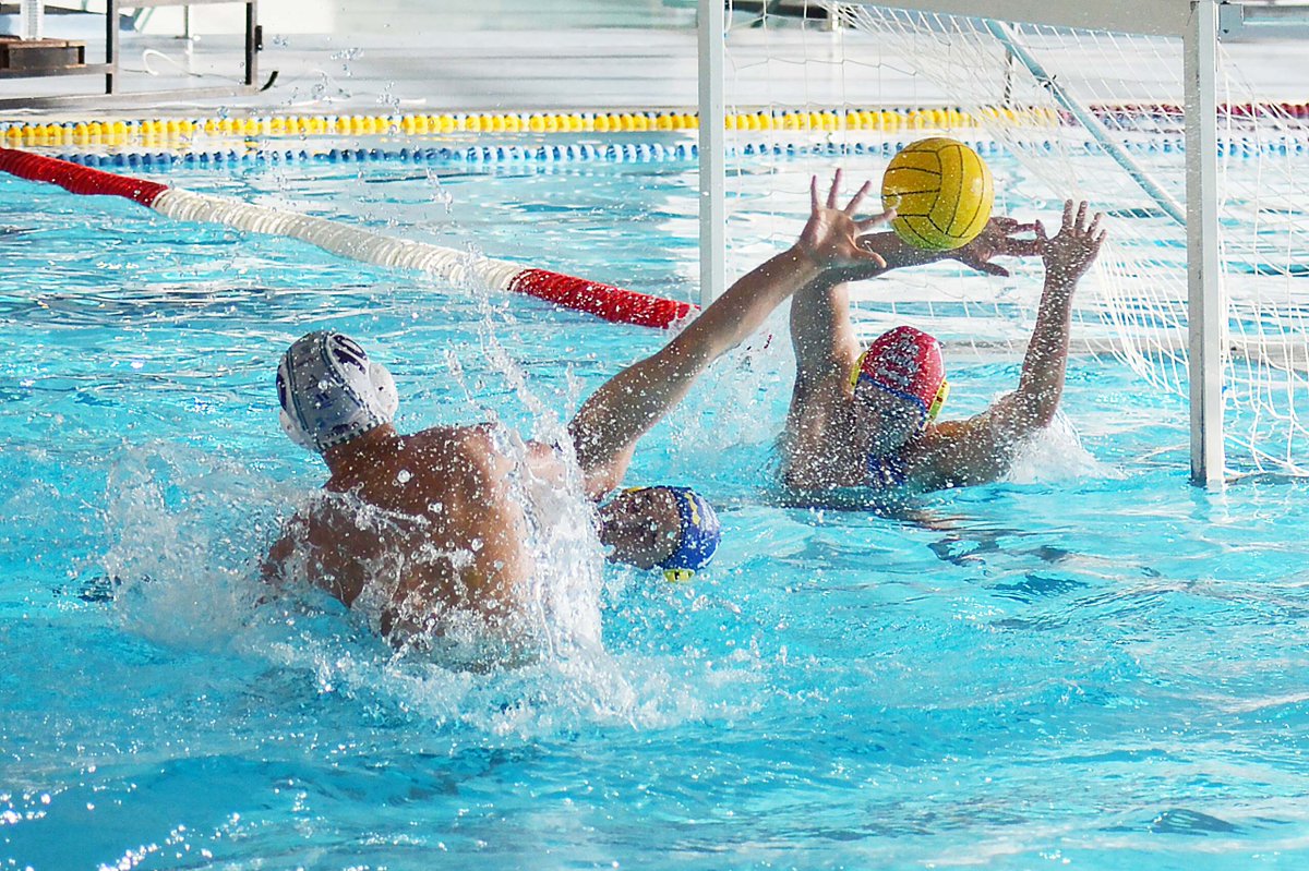 Qué partido más completo en todas las facetas del juego para consolidar la buena marcha del #waterpolomalaga  Gracias como siempre a la afición de <a href="/inacua_oficial/">Inacua</a>  en esta victoria ante un gran <a href="/CNTRESCANTOS/">CLUB NATACIÓN TRES CANTOS 🏊‍♂️🤽‍♂️🏊‍♀️</a> <a href="/RFEN_Oficial/">RFEN</a> 14-6

A seguir trabajando