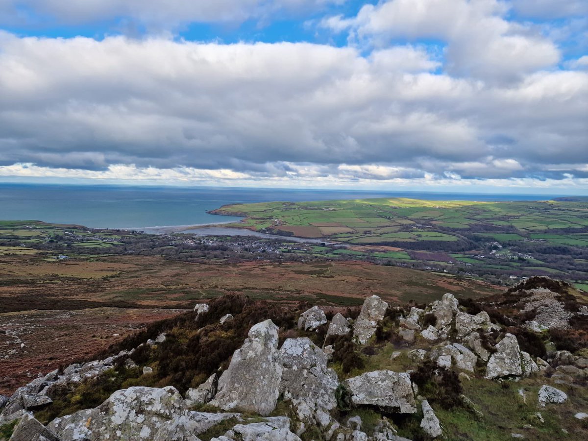 Di Clements tweet media