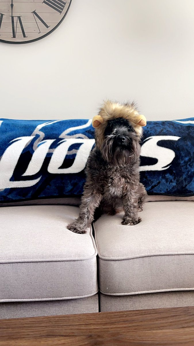SciutoJustin's tweet photo. Baker is playoff ready! 🦁🦁 @Lions  #OnePride #AllGrit https://t.co/bDpzCniZ8x