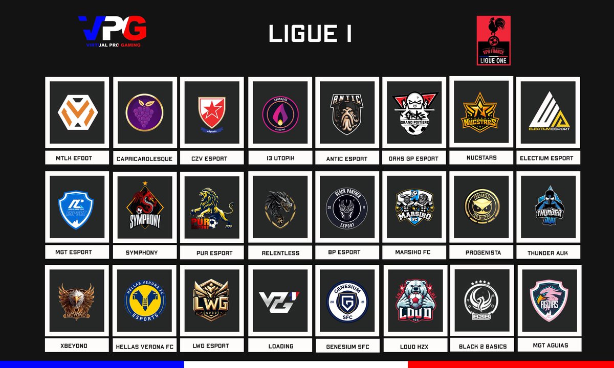 VPG France tweet media
