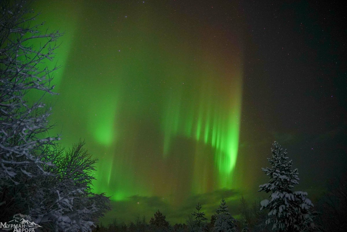 One day beyond the Arctic Circle: sled dogs, reindeer and all its glory the aurora borealis.