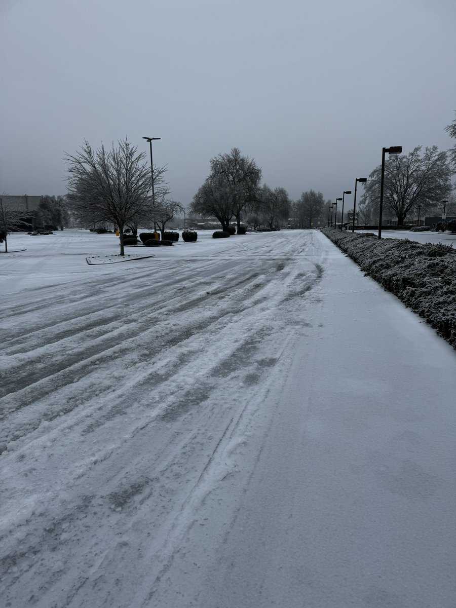 Knight Jarecki tweet media