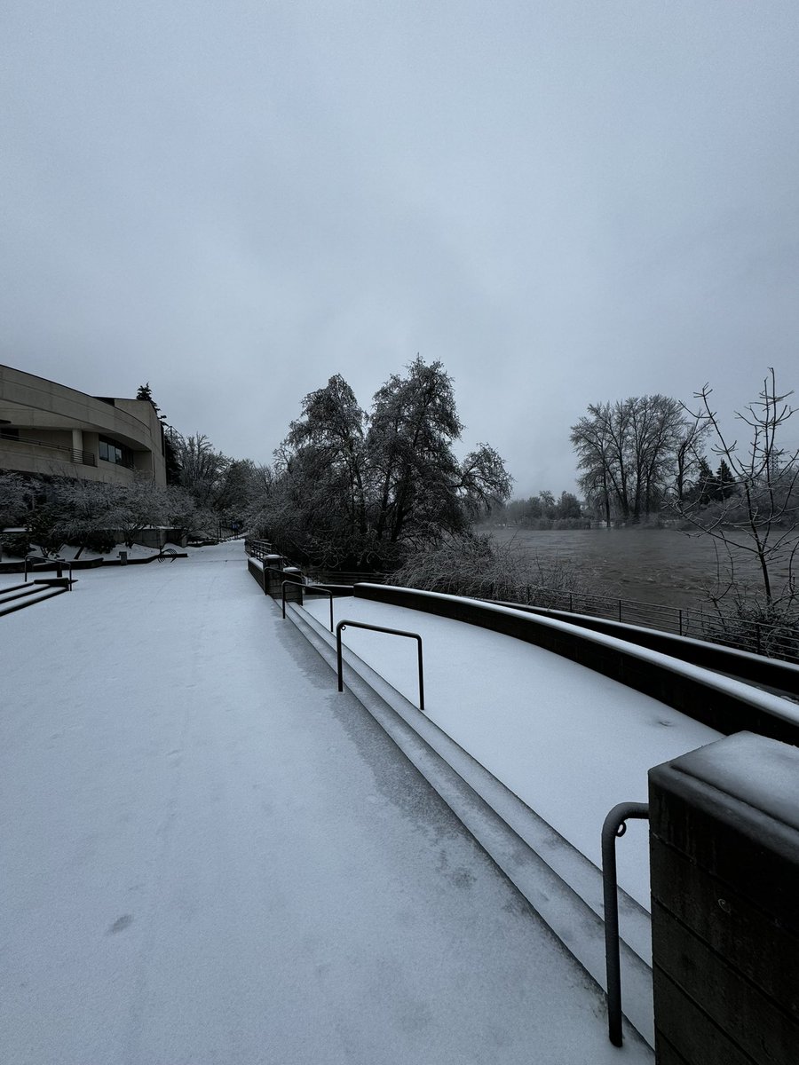 Knight Jarecki tweet media