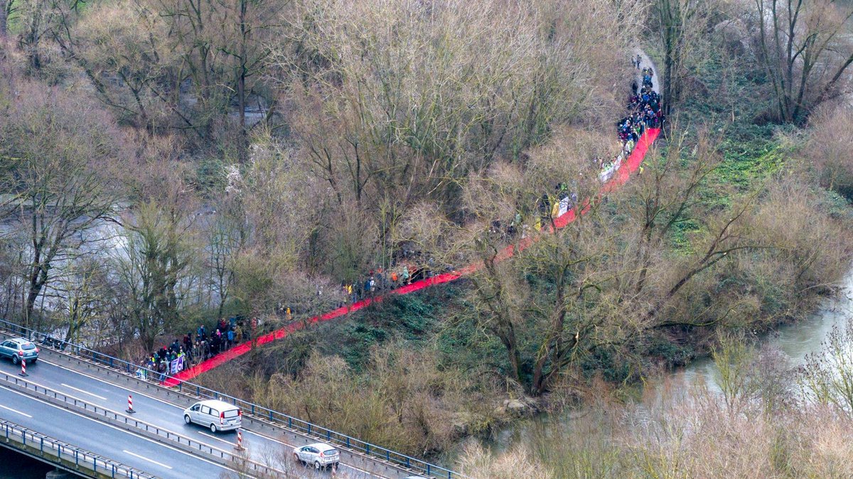 Clara S. Thompson tweet media