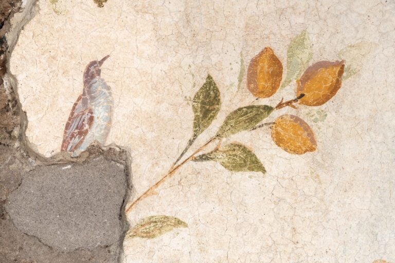 MastersRome's tweet image. Tomorrow don't miss our first live lecture of the year with our wonderful Livia Galante!
After nearly fifty years, the Domus Tiberiana, the first true imperial palace erected has reopened to the public!
Learn more here bit.ly/DomusTiberiana…