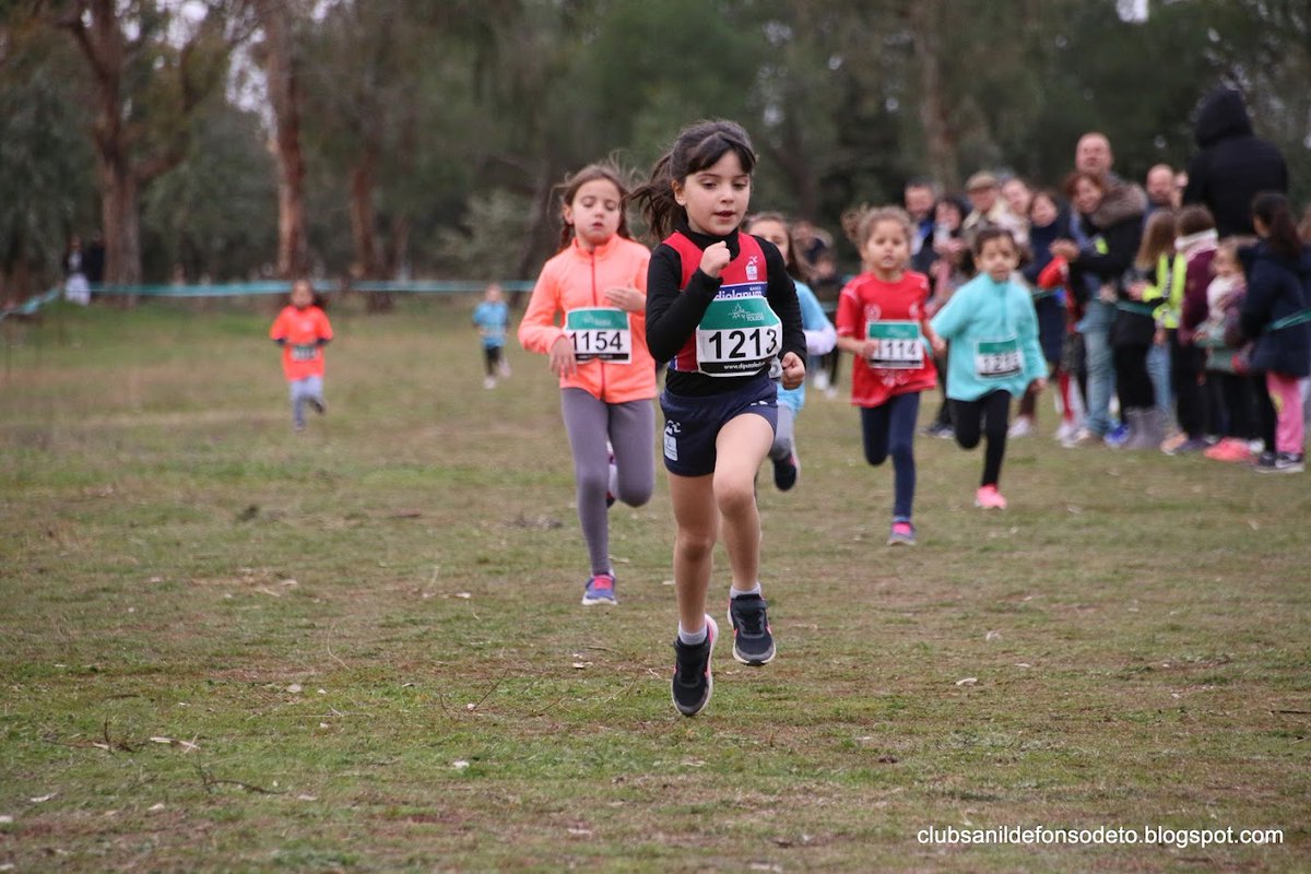¡5 PODIOS PARA EL <a href="/ATLSANILDEFONSO/">Soliss-Club Atletismo San Ildefonso</a> EN EL CROSS DE SONSECA! ¡LISTAS 1.500 FOTOS SANILDE!
Pedro Vega (3º Abs.), César García (1º Máster A), Santi Quintanero (2º Máster B), Elsa Gualo (2ª Sub-8)  y Lucía Sánchez (3ª sub-10).

MÁS INFO Y FOTOS, AQUÍ ⬇️:
clubsanildefonsodeto.blogspot.com/2024/01/5-podi…