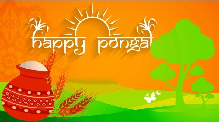 Dagda_Contact's tweet photo. Happy Pongal to All. Let this THAI month bring new blessing to you all. @all https://t.co/0ffIXHPRS0
