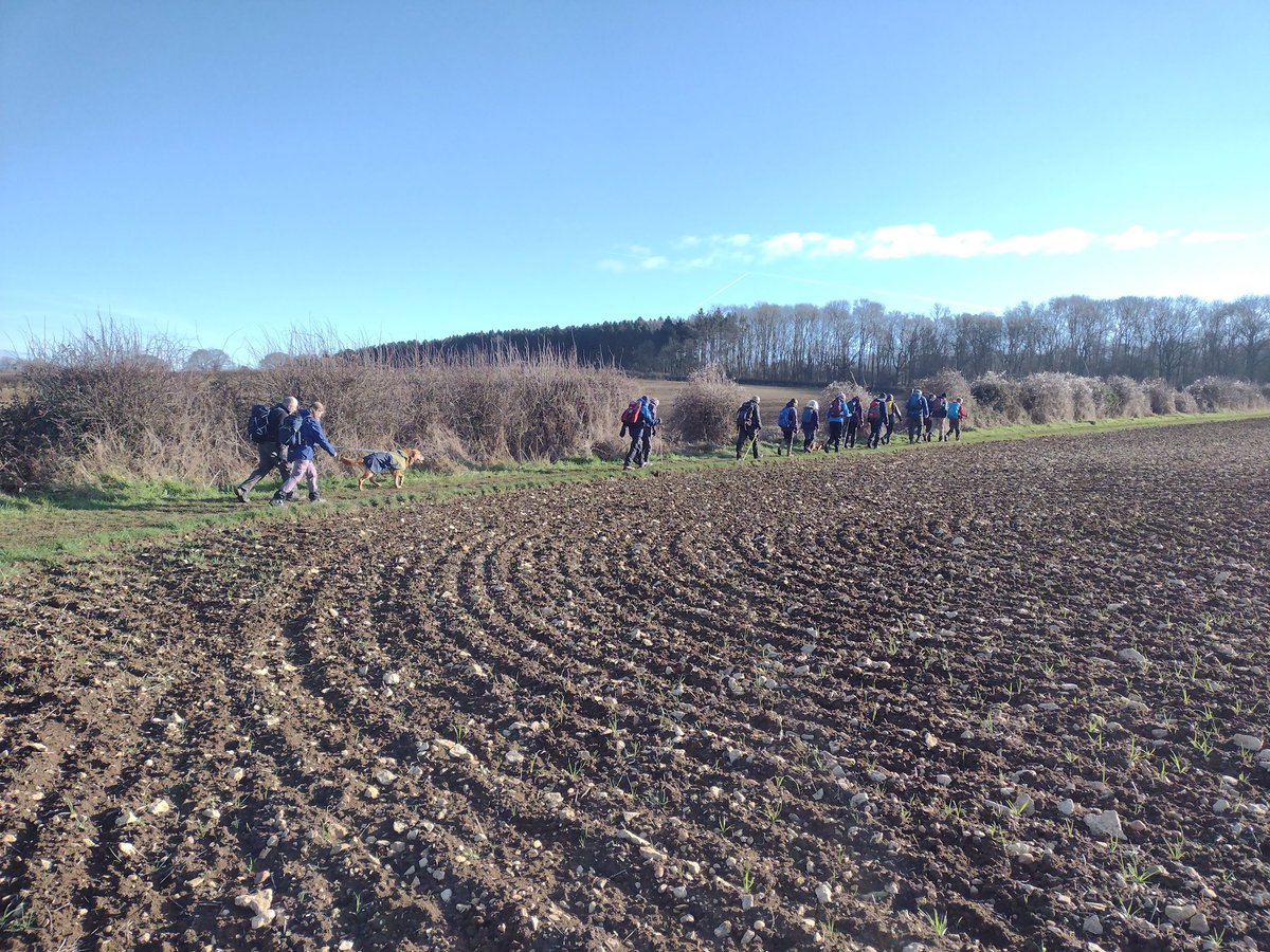 Oxon Weekend Walkers tweet media