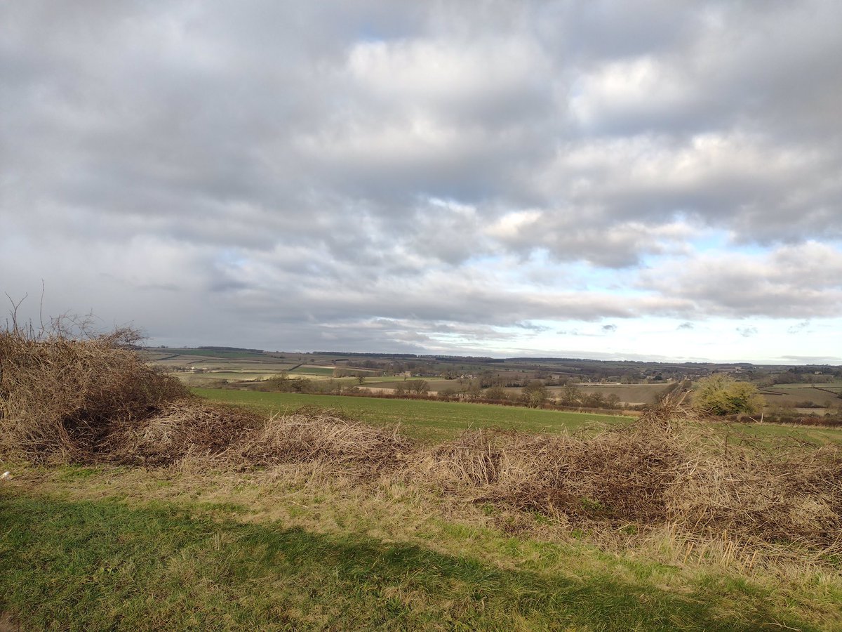 Oxon Weekend Walkers tweet media