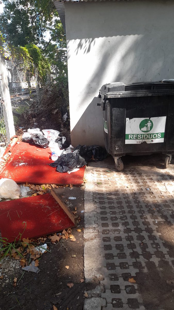 Pato - 💜 tweet media