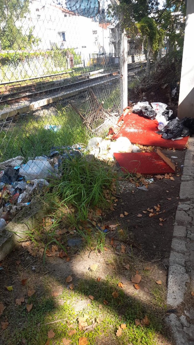 Pato - 💜 tweet media