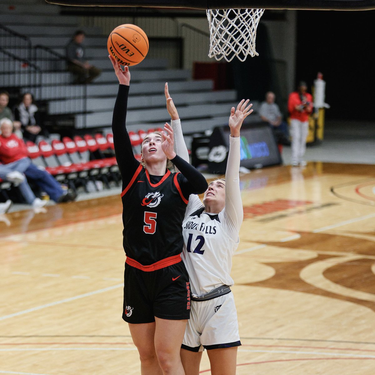 MSUM_WBB's tweet photo. πΈ reπ§’ from last nights win against USF
#msum #wbb #rolldrags #winning #photorecap #basketball https://t.co/Xrj6B9yhOU