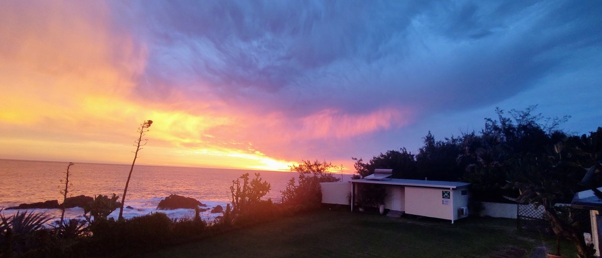 popovici63's tweet photo. The Beauty of the Beast
#Belal #LaReunion #GrandBois https://t.co/xaWp58OCXI