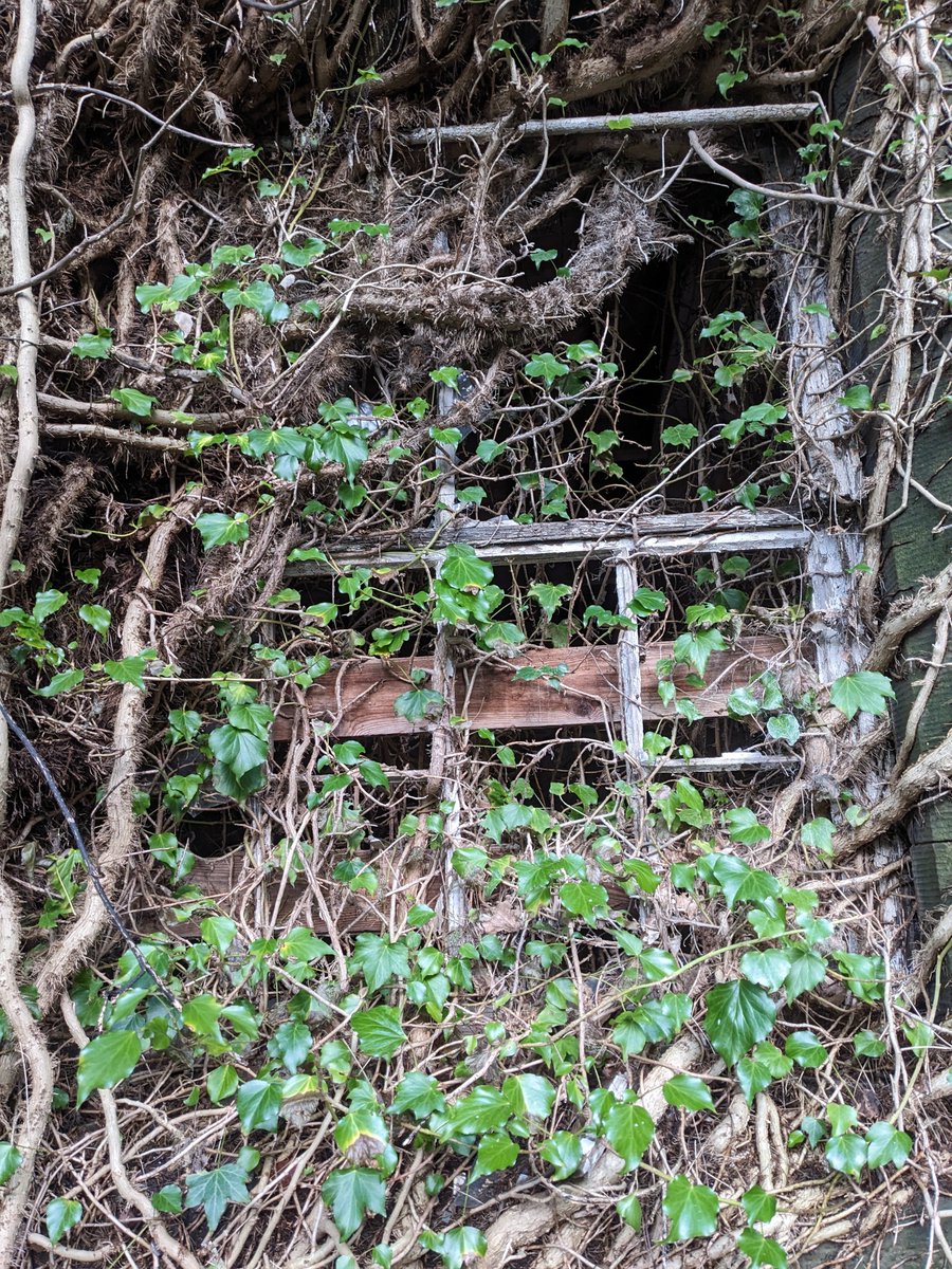 Ross Crawford tweet media