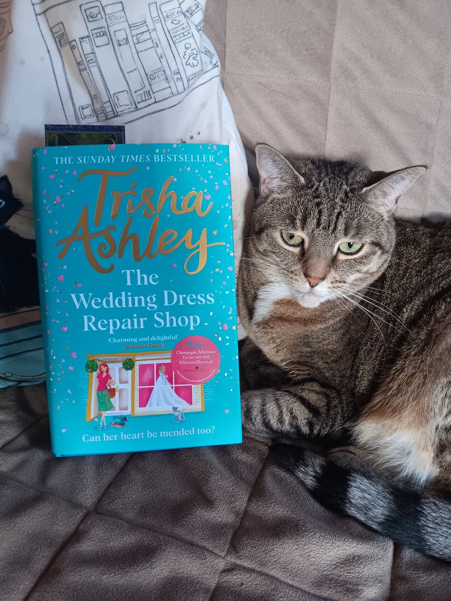 For some reason it took until November for the new @trishaashley book to get to the US. Then I had library books I had to finish. Which means that now I finally get to read it, just when I need it the most. I SO love escaping to Trishaworld. #amreading