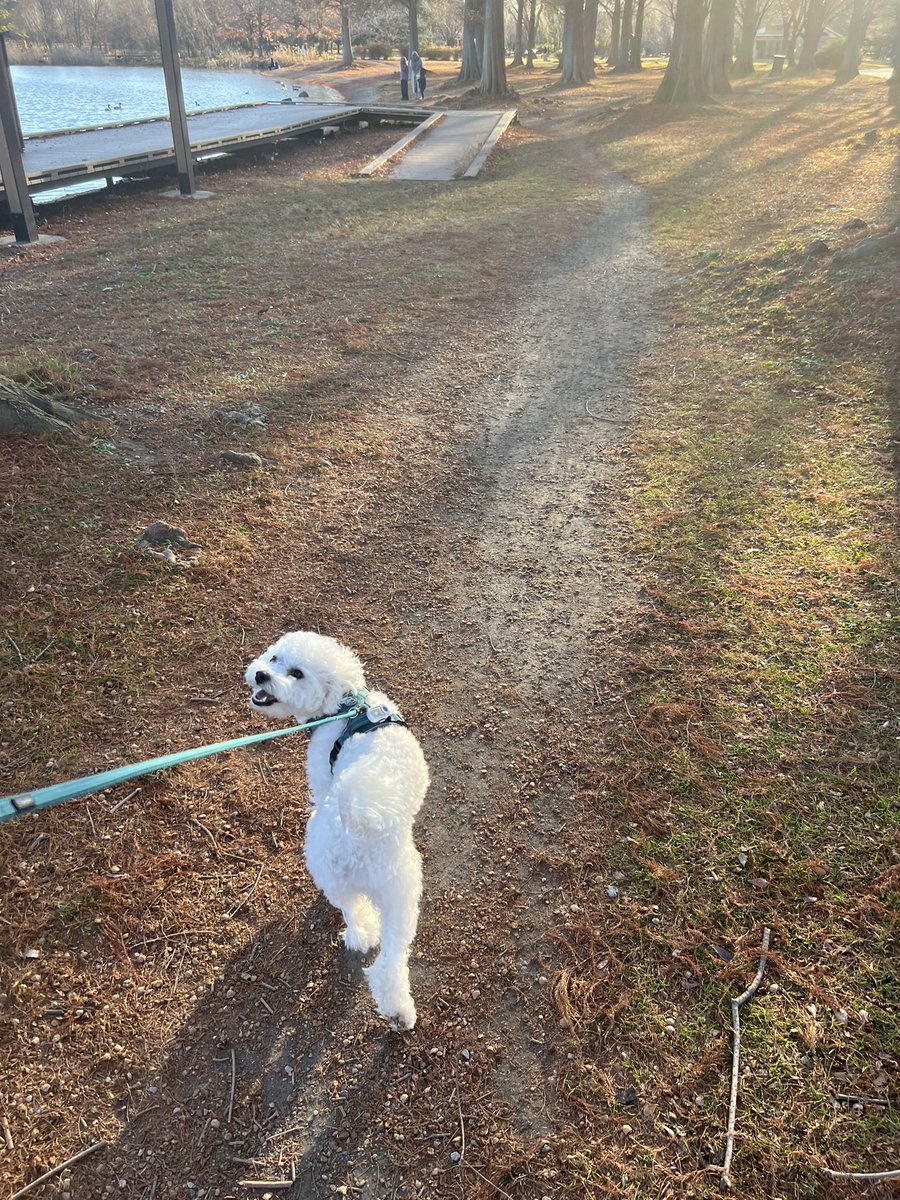 近くの公園でめちゃくちゃ楽しんだライス