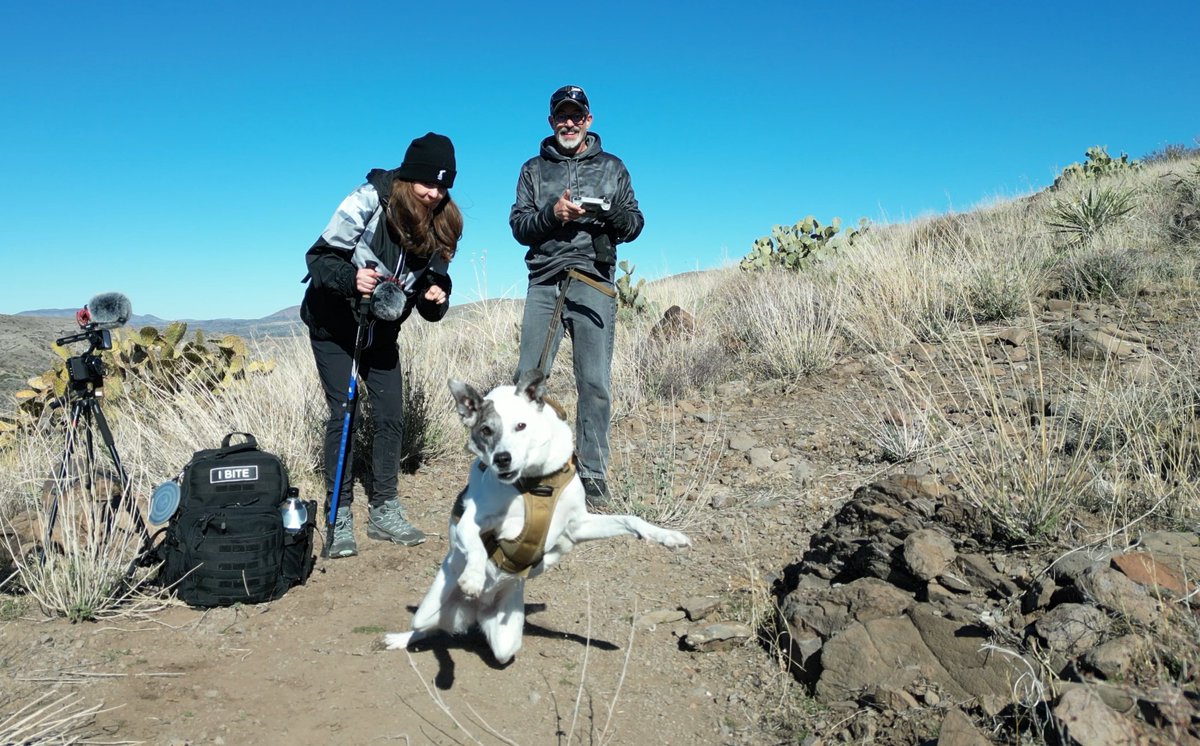 RickRogersAZ's tweet photo. Katana 🐺 attacking the #drone  🤣

#attackdogs #attackdog #attackdogmode #hikingadventures #hiking #adventuredog #droneattack #dronephotography https://t.co/s8sefiPx9W