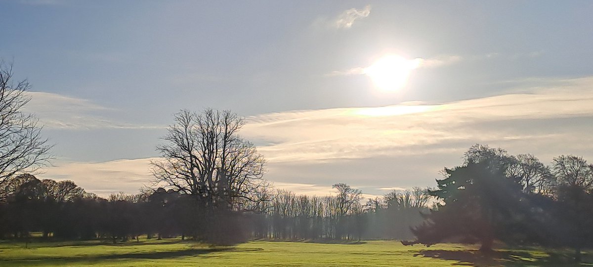 Morning in Newbridge Demesne Donabate