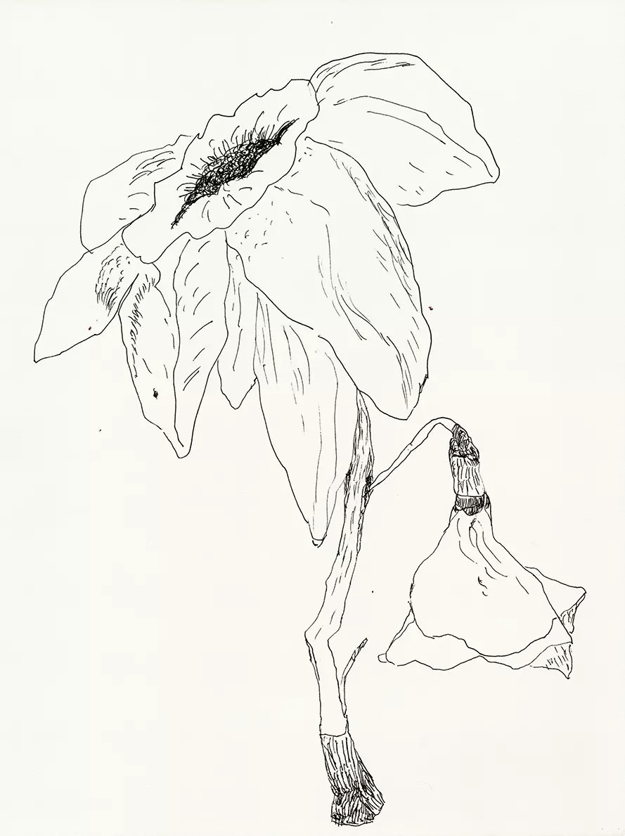 darz.art tweet media