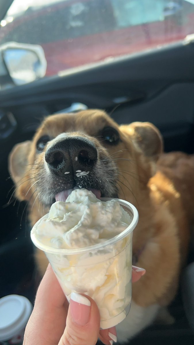 We had a power outage and we still have no power. :( Mom needed coffee so I got treated with a pup cup!