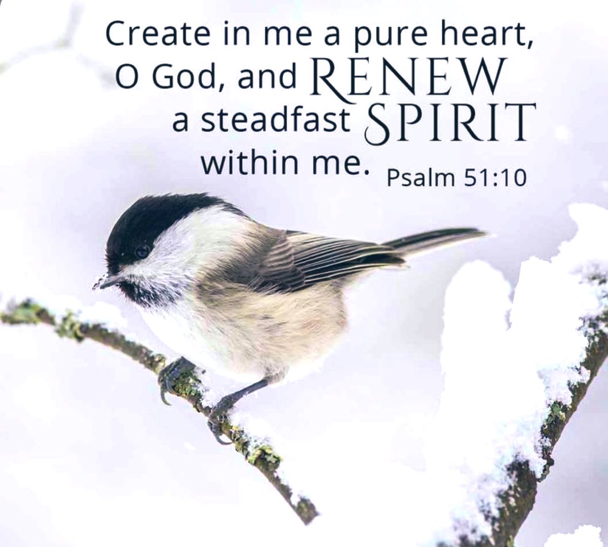 sharonePack's tweet photo. Your Spirit broken through sin?
🙏petition God
#CreateInMeACleanHeart
#RenewARightSpiritInMe
—far from perfect
—not always good thoughts
Our actions don’t always reflect
who we want to be
#ForgiveMeGod
My mind wanders…
Back to You God
Humbly I Pray https://t.co/hPEKx8LsKo