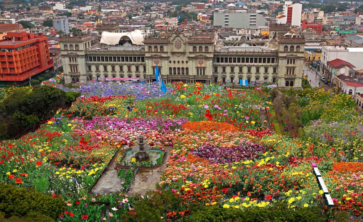 SomosChapinas's tweet photo. "Y de esta manera fueron vencidos los Señores de Xibalbá al ver tantas flores juntas" Popol Vuh 🥰 https://t.co/KSRzCohu8z