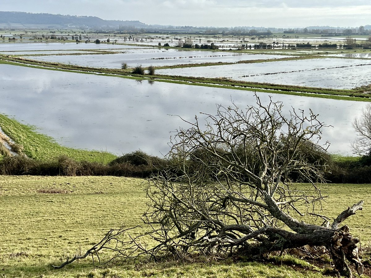 Liam Cleaver tweet media