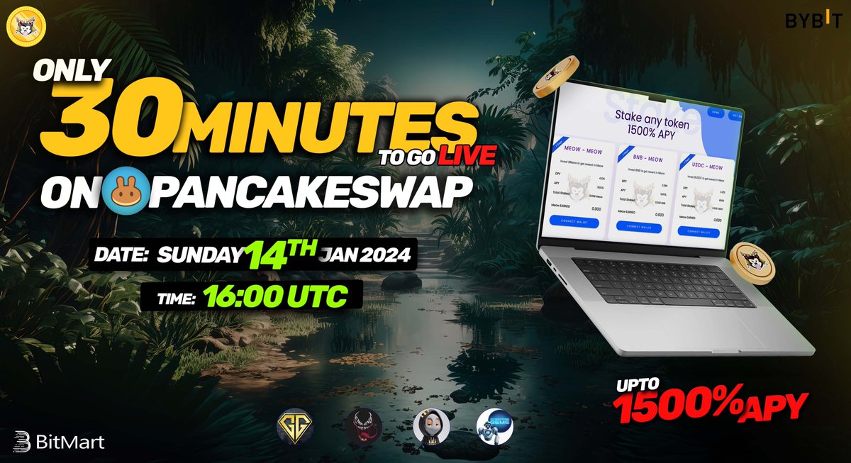 Dingdang $Meow Official Ⓡ tweet media