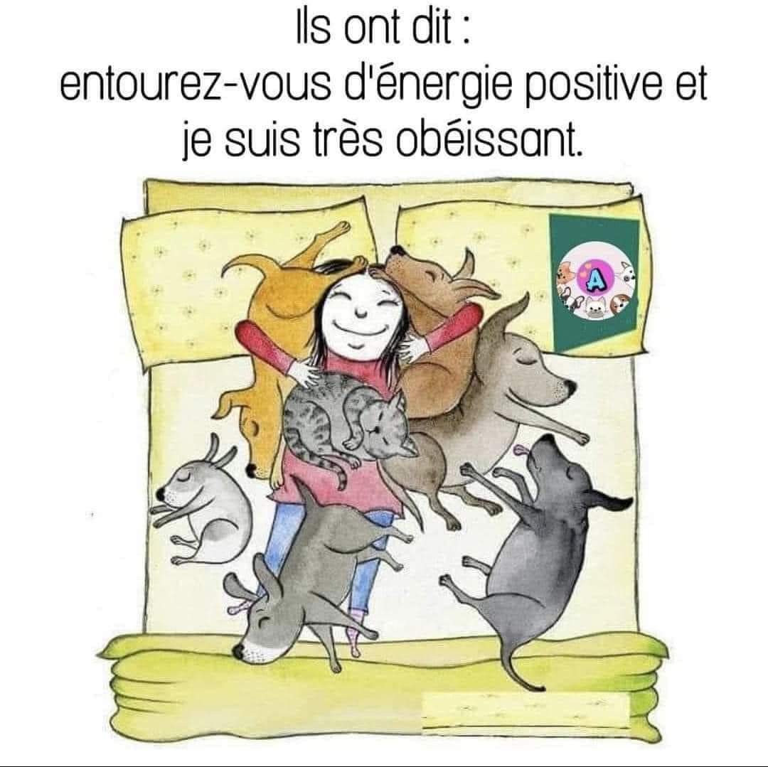 animal__passion's tweet photo. Ils ont dit : Entourez-vous d'énergie positive et je suis très obèissant 😁🙏 https://t.co/ggGnAck445