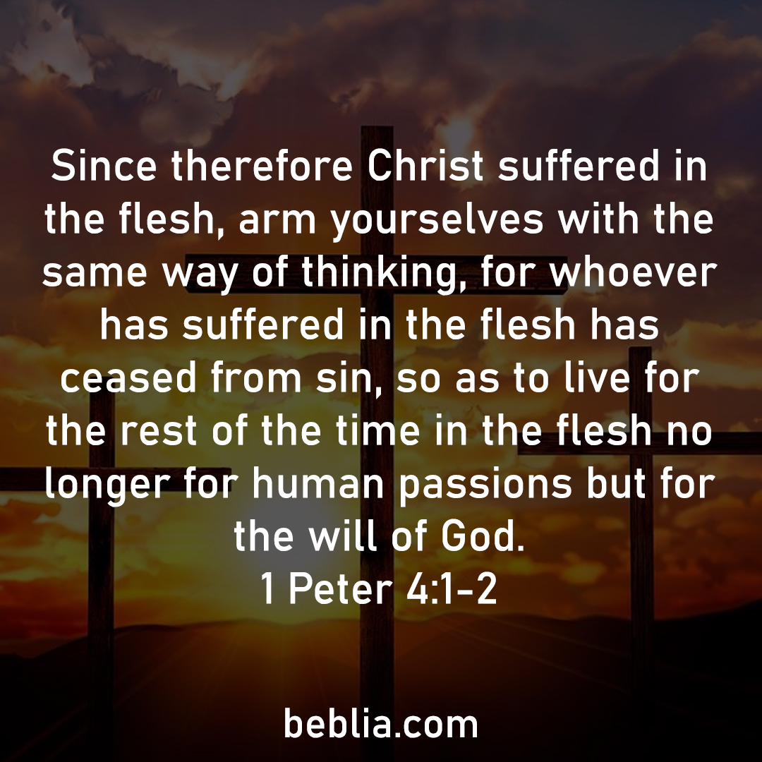 Beblia_Verses's tweet photo. Read the Bible: https://t.co/dYVADjJtN3 🙏
Say Amen if you Agree
-----
1 Peter 4:1-2
-----
#bible #bibles #godisgood #holybible #christian #God #jesus #faith #church #life #truth #christ #loved #bibleverses #scripture #theology #christianit https://t.co/JmL9vudhNE