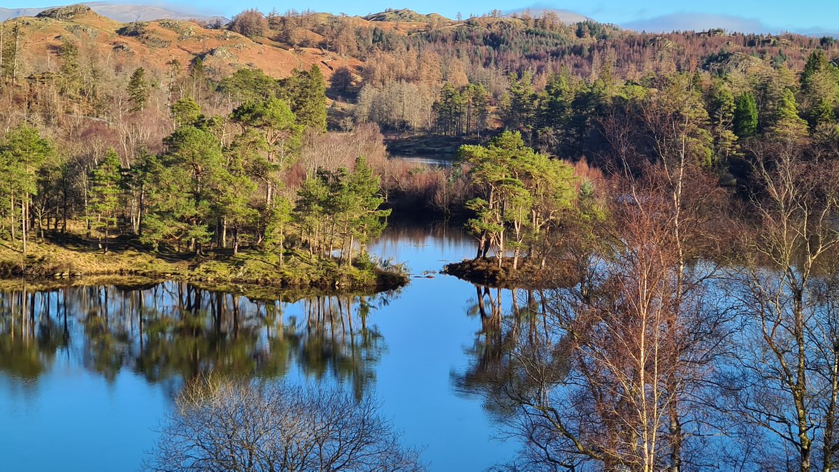 New Post! This one is closer to home and describes one of my favourite places in the Lake District where I live: Tarn Hows. Please tell me what you think! abfabtravels.com/tarn-hows-best… #LakeDistrict #TarnHows #England