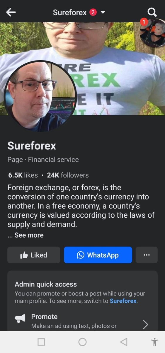 Sureforex_ tweet picture