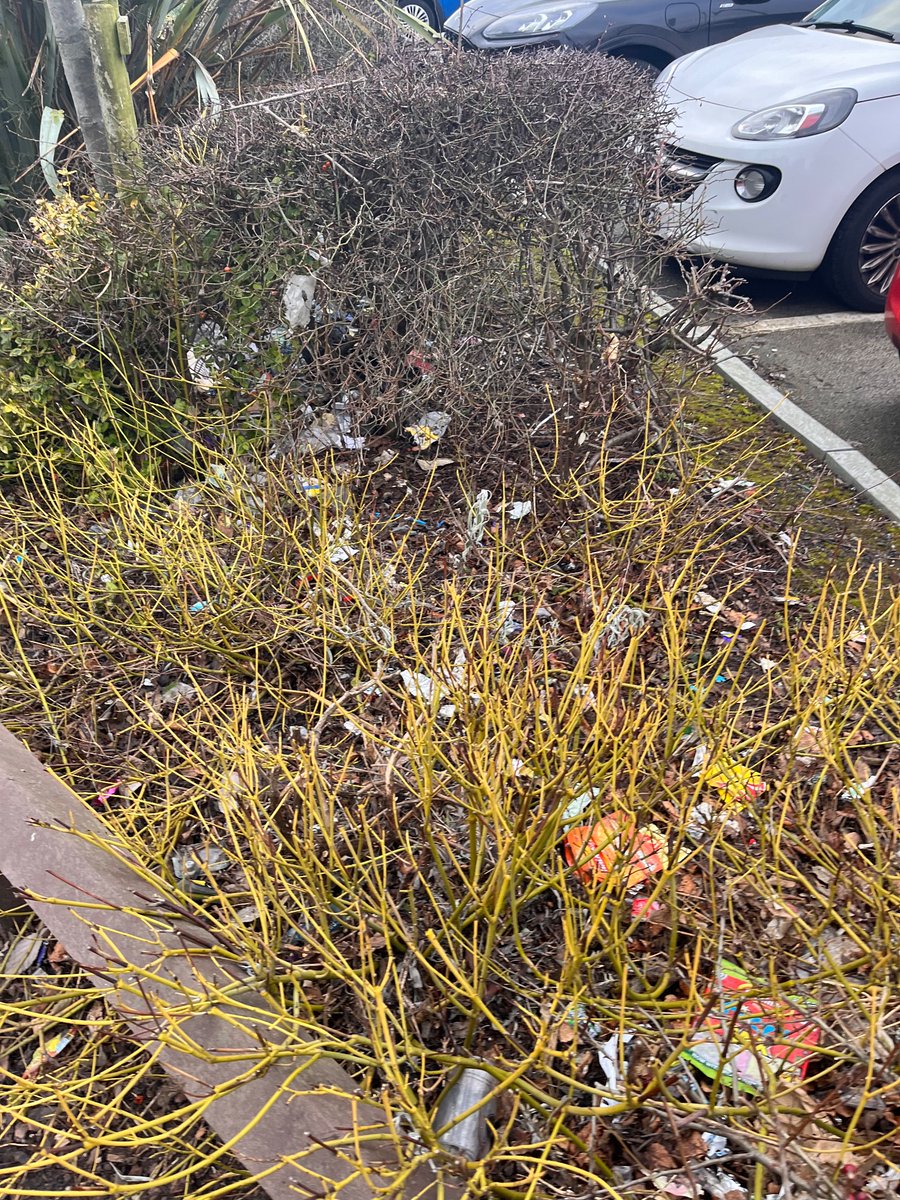 GavinS73's tweet photo. @AsdaServiceTeam 2 weeks on from my original complaint &amp; NOTHING has been done to clear the mass of litter around the Bootle store. Excuses about poor weather are false &amp; just show a lack of interest. This needs sorting immediately &amp; managing properly. It’s a disgrace. https://t.co/QpErc679of