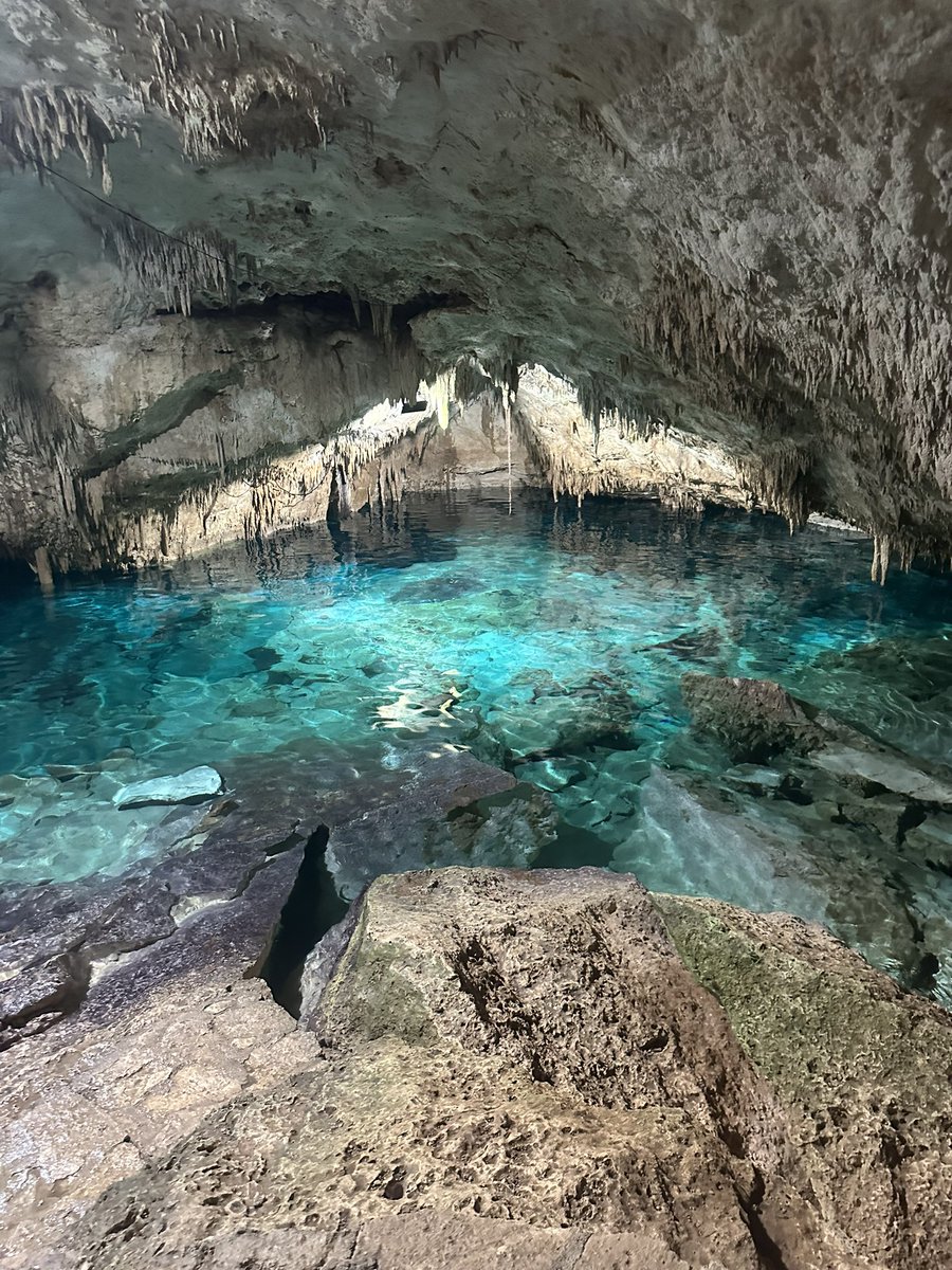 maule_rob's tweet photo. Last day in Mexico. What an incredible country and tour we’ve had. Heading home to Edinburgh via -12 Dallas tomorrow 🥶 https://t.co/kDfxLlu6Ss