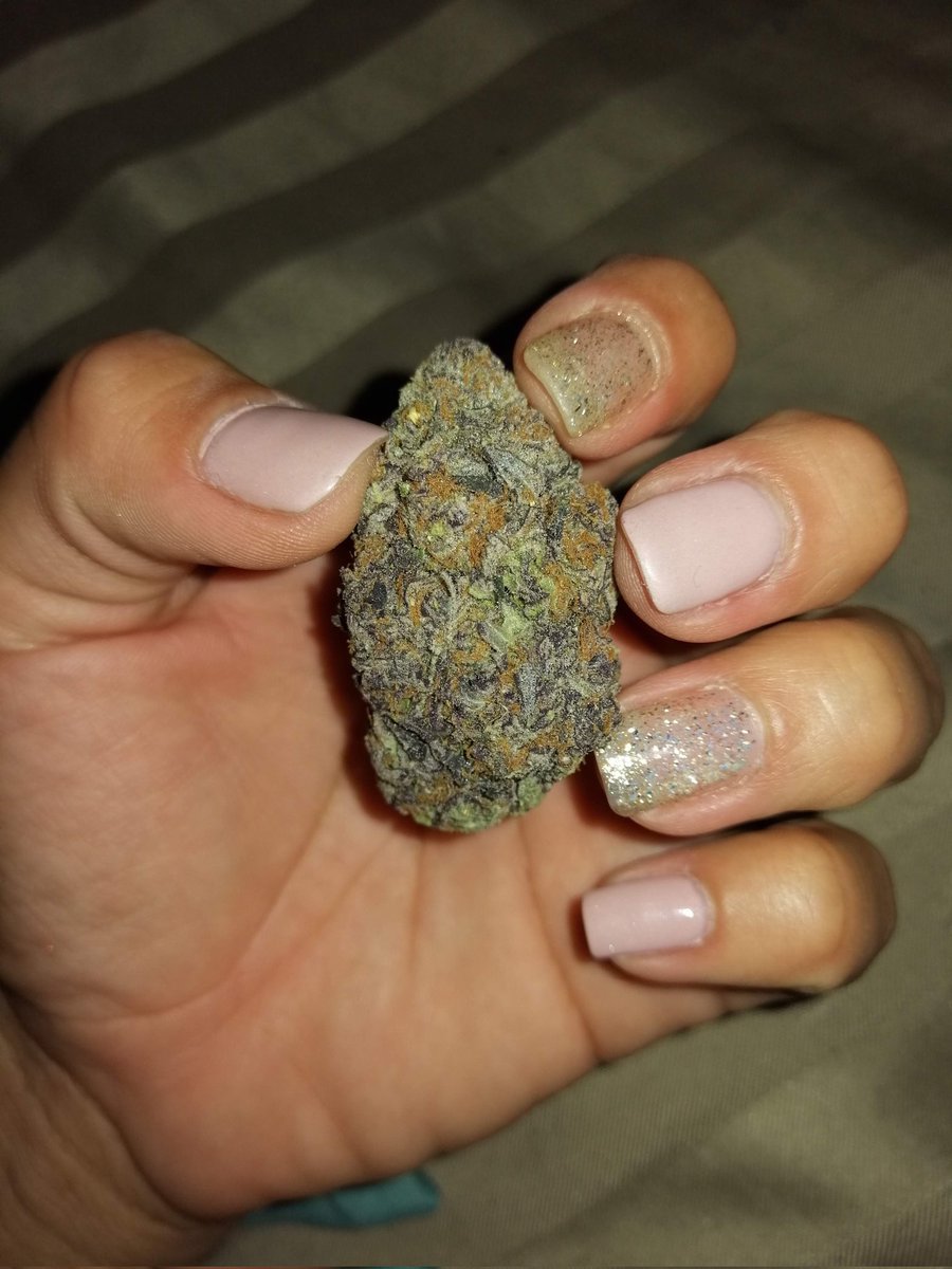 Emmashopgdl's tweet photo. Weednos Días
#weedmorning #weednosdias #420girl #indoor #porro #mañanero https://t.co/EmzeqhmThc