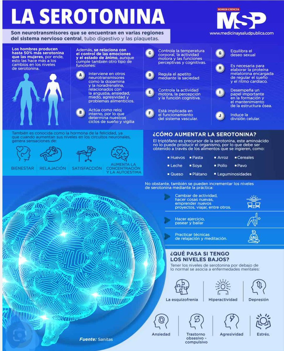 virginiog's tweet photo. Aunque la oxitocina, dopamina y endorfinas son los  neurotransmisores más asociados con el bienestar.  Es la serotonina el más relevante en aumentar los niveles de felicidad, relajación y satisfacción

Entender qué hábitos lo potencian es clave para regular los estados de ánimo https://t.co/lDldkfI9v3